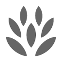 ILLUSTRATIONS of Plants