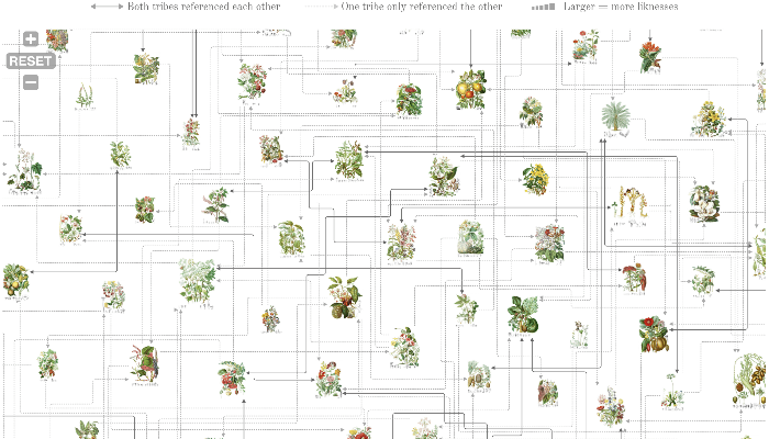 ILLUSTRATIONS of Plants