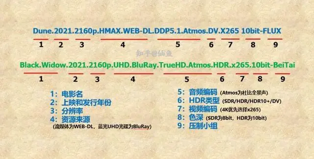 科普篇:电影视频格式有哪些?来了解下常见的影片片源等含义