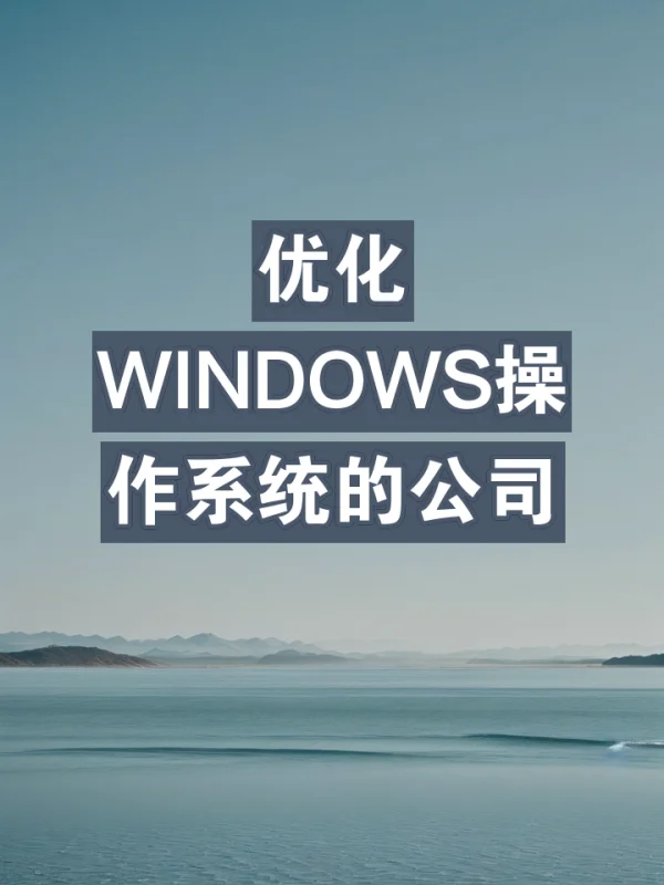优化WINDOWS操作系统的公司 优化WINDOWS操作系统的公司
