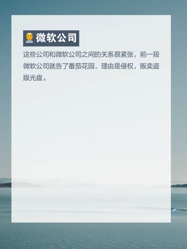 优化WINDOWS操作系统的公司 优化WINDOWS操作系统的公司