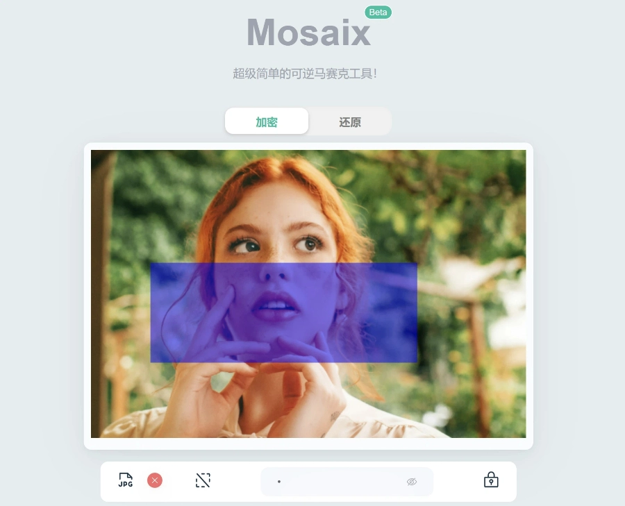 可逆打码工具，通过密码打马赛克或还原